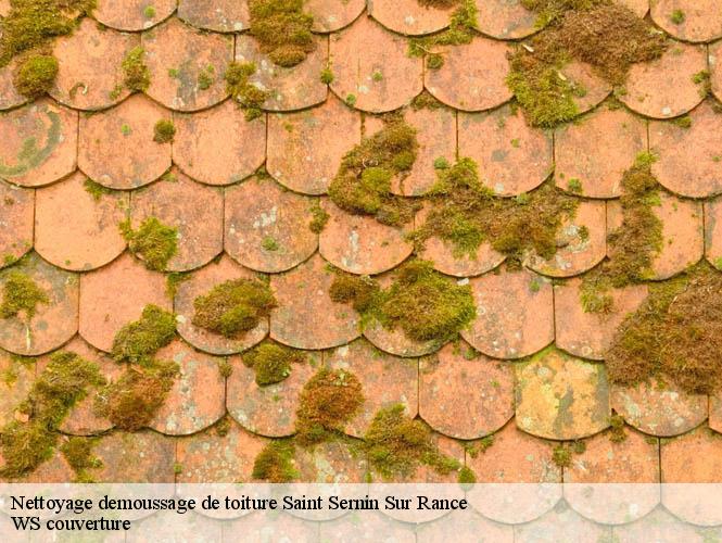 Nettoyage demoussage de toiture  saint-sernin-sur-rance-12380 WS couverture