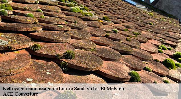 Nettoyage demoussage de toiture  saint-victor-et-melvieu-12400 ACE Couverture 