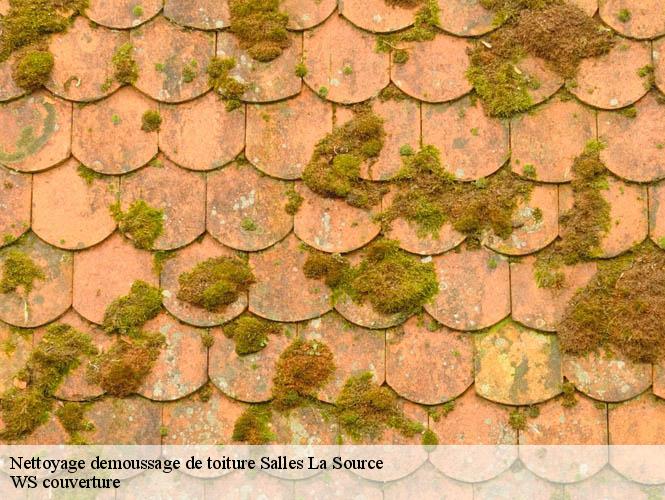 Nettoyage demoussage de toiture  salles-la-source-12330 WS couverture