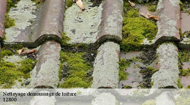 Nettoyage demoussage de toiture  tauriac-de-naucelle-12800 John Toiture Couvreur 12