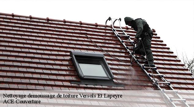 Nettoyage demoussage de toiture  versols-et-lapeyre-12400 ACE Couverture 