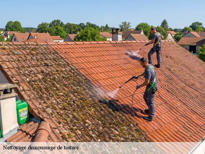 Nettoyage demoussage de toiture  villecomtal-12580 WS couverture