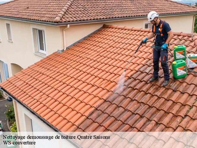 Nettoyage demoussage de toiture  quatre-saisons-12850 WS couverture
