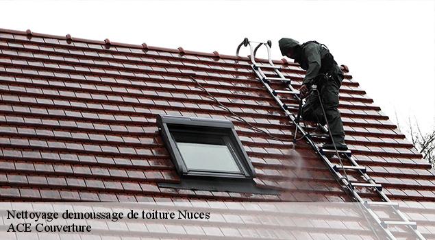 Nettoyage demoussage de toiture  nuces-12330 ACE Couverture 