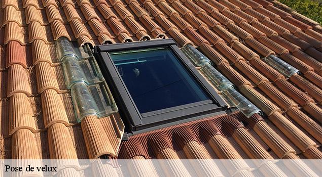 Pose de velux camjac-12800 ACE Couverture