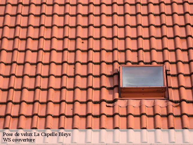 Pose de velux  la-capelle-bleys-12240 WS couverture