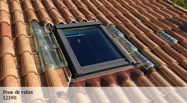Pose de velux  estaing-12190 John Toiture Couvreur 12