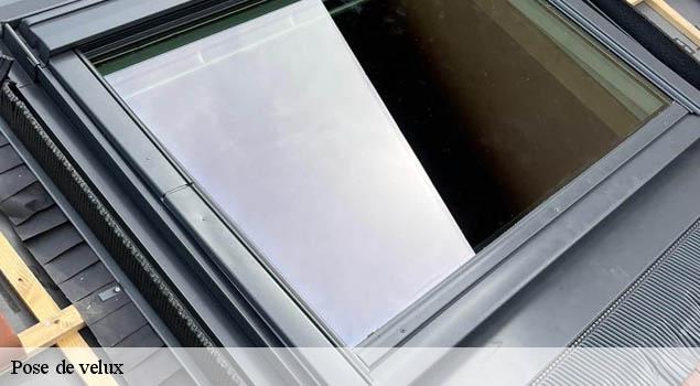 Pose de velux  lavernhe-12150 John Toiture Couvreur 12