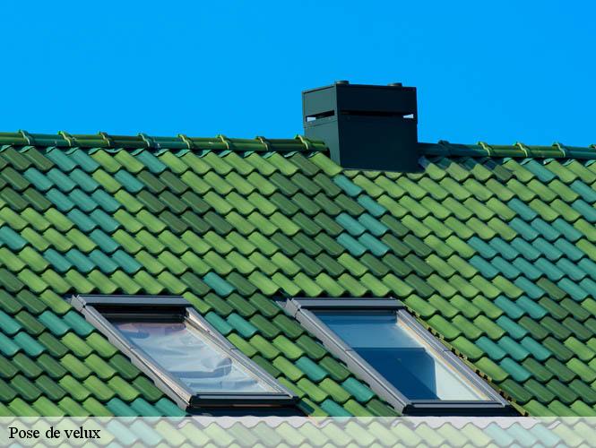 Pose de velux  montpeyroux-12210 WS couverture