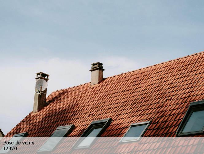 Pose de velux  murasson-12370 WS couverture