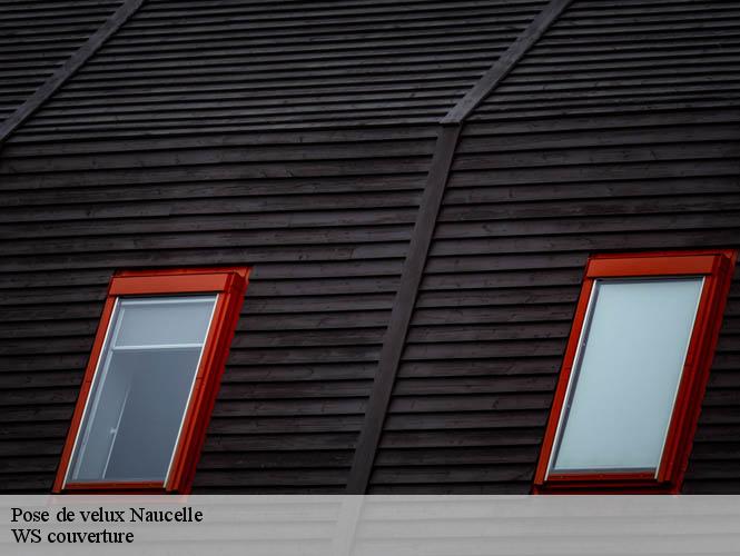 Pose de velux  naucelle-12800 WS couverture