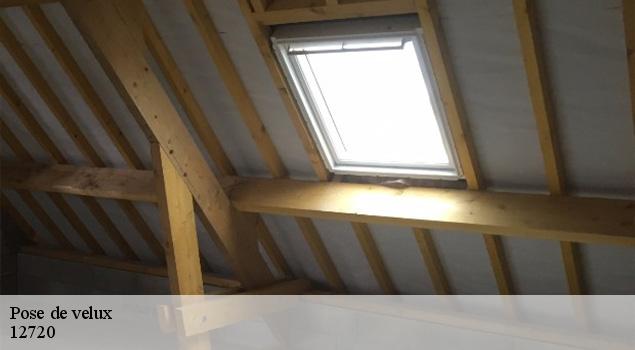 Pose de velux  peyreleau-12720 ACE Couverture 