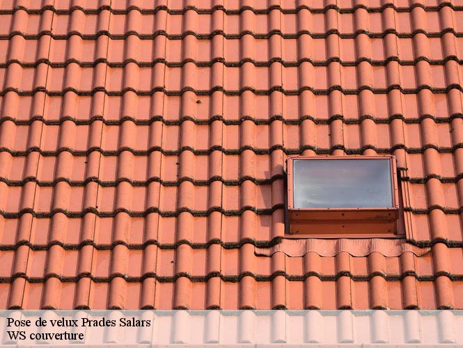 Pose de velux  prades-salars-12290 WS couverture