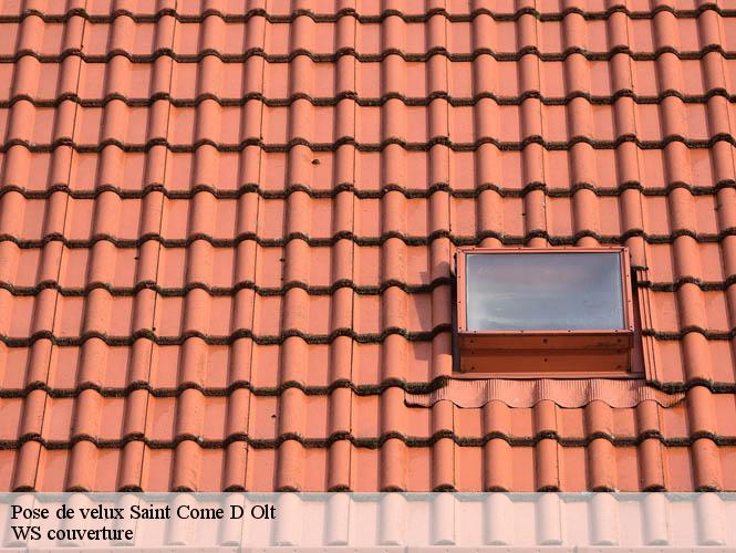 Pose de velux  saint-come-d-olt-12500 WS couverture