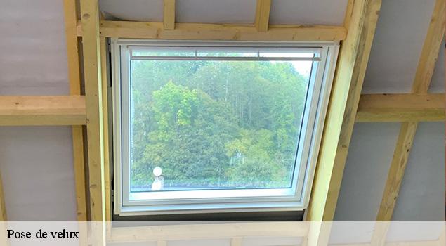 Pose de velux  saint-hippolyte-12140 ACE Couverture 