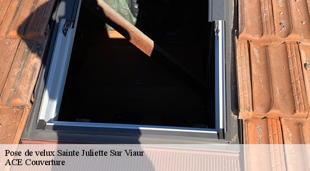 Pose de velux  sainte-juliette-sur-viaur-12120 ACE Couverture 