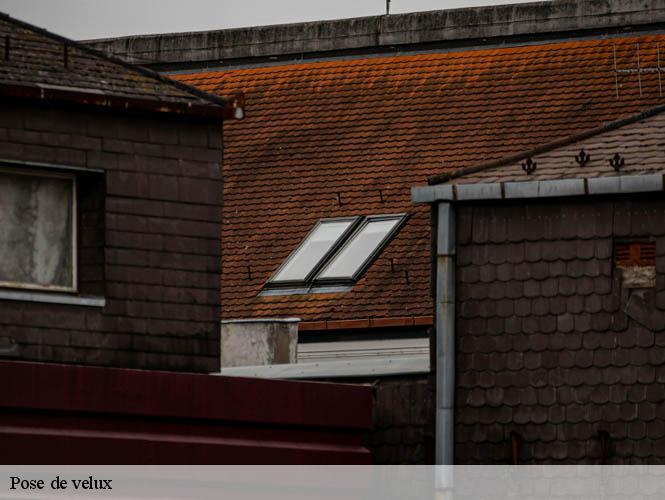 Pose de velux  salles-courbaties-12260 WS couverture