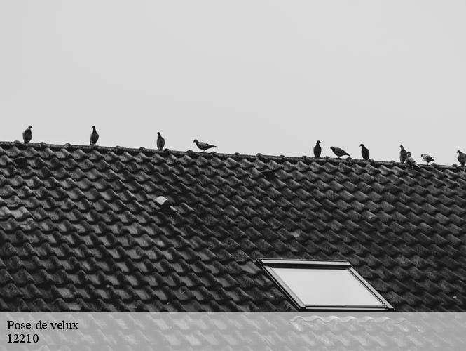 Pose de velux  soulages-bonneval-12210 WS couverture