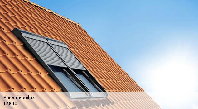 Pose de velux  tauriac-de-naucelle-12800 John Toiture Couvreur 12