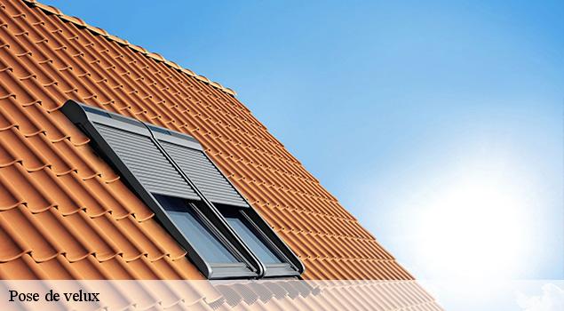 Pose de velux  la-terrisse-12210 ACE Couverture 