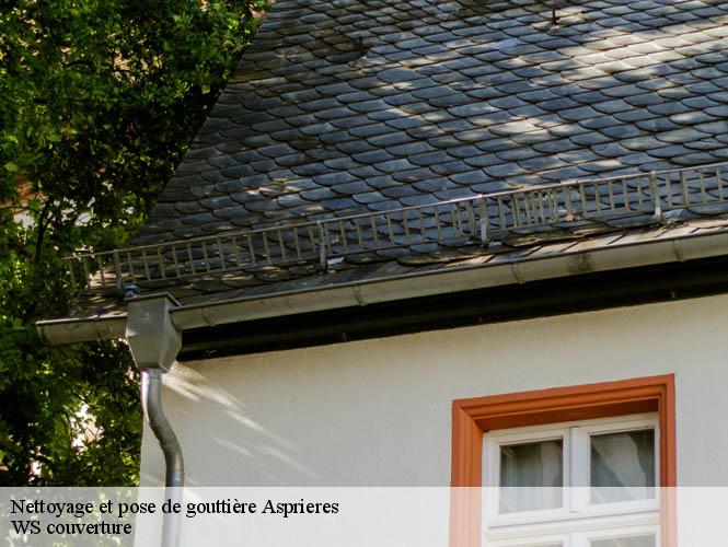 Nettoyage et pose de gouttière  asprieres-12700 WS couverture