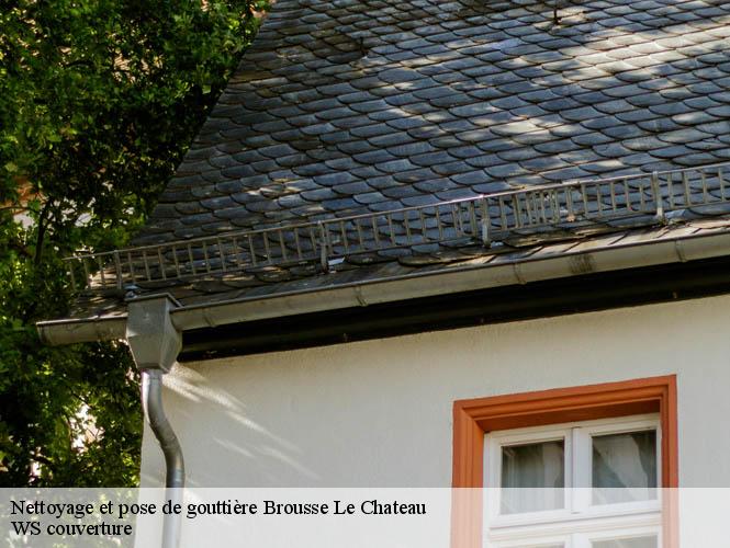 Nettoyage et pose de gouttière  brousse-le-chateau-12480 WS couverture