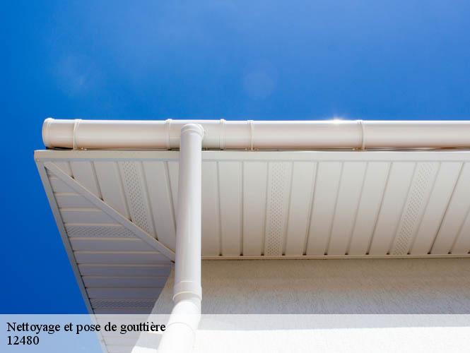 Nettoyage et pose de gouttière  brousse-le-chateau-12480 WS couverture