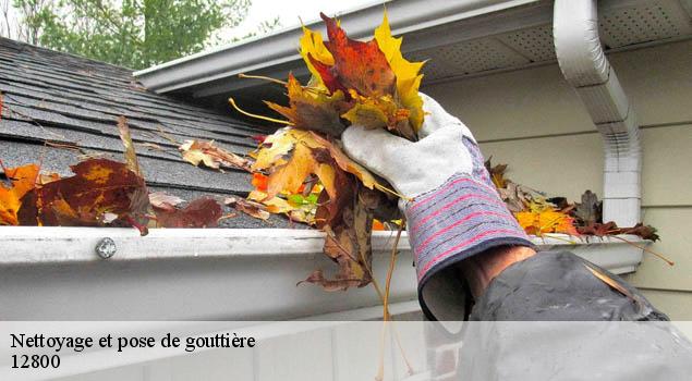 Nettoyage et pose de gouttière  cabanes-12800 John Toiture Couvreur 12