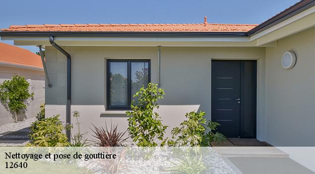 Nettoyage et pose de gouttière  la-cresse-12640 ACE Couverture 