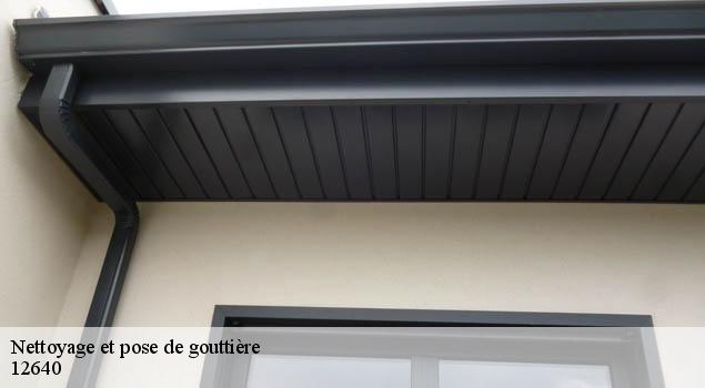 Nettoyage et pose de gouttière  la-cresse-12640 John Toiture Couvreur 12