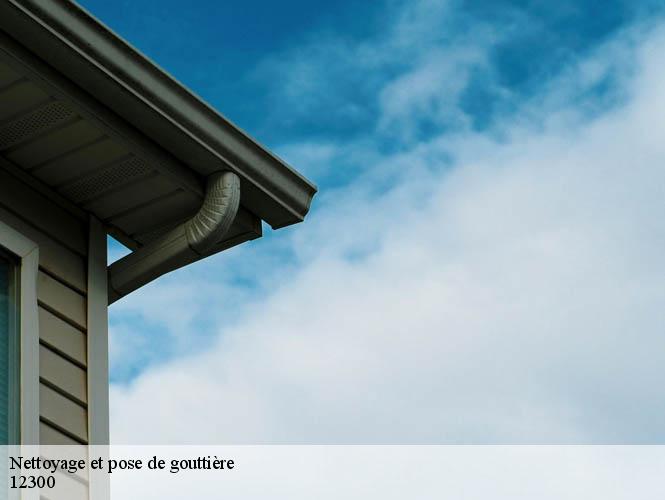 Nettoyage et pose de gouttière  flagnac-12300 WS couverture