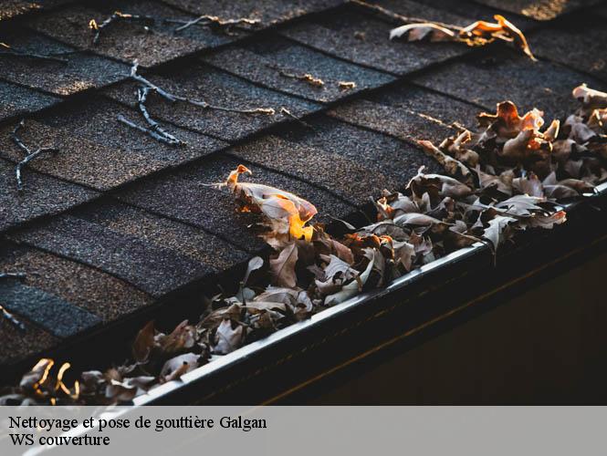 Nettoyage et pose de gouttière  galgan-12220 WS couverture