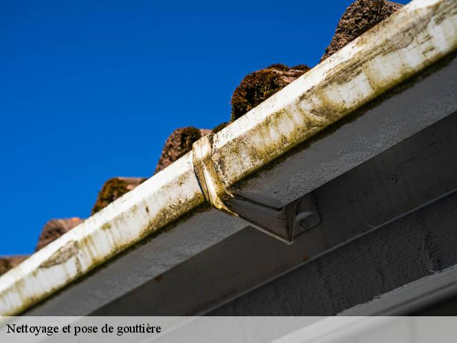 Nettoyage et pose de gouttière  galgan-12220 WS couverture