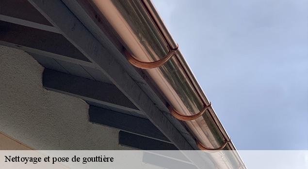 Nettoyage et pose de gouttière  golinhac-12140 ACE Couverture 