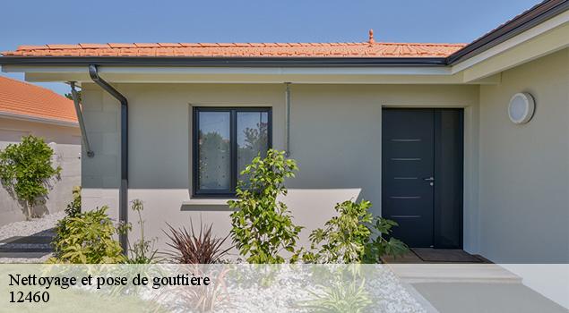 Nettoyage et pose de gouttière huparlac-12460 ACE Couverture