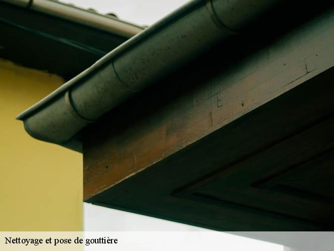 Nettoyage et pose de gouttière  loupiac-12700 WS couverture