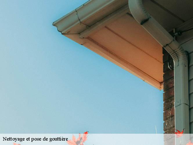 Nettoyage et pose de gouttière  plaisance-12550 WS couverture