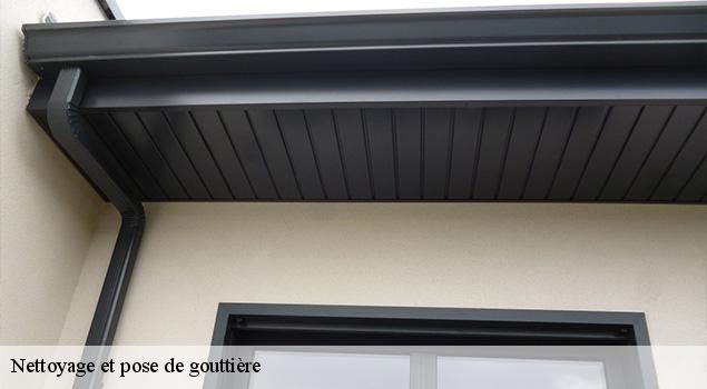 Nettoyage et pose de gouttière  sainte-eulalie-de-cernon-12230 ACE Couverture 