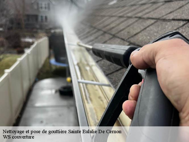 Nettoyage et pose de gouttière  sainte-eulalie-de-cernon-12230 WS couverture