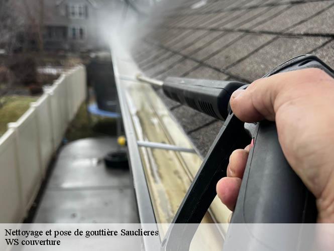 Nettoyage et pose de gouttière  sauclieres-12230 WS couverture