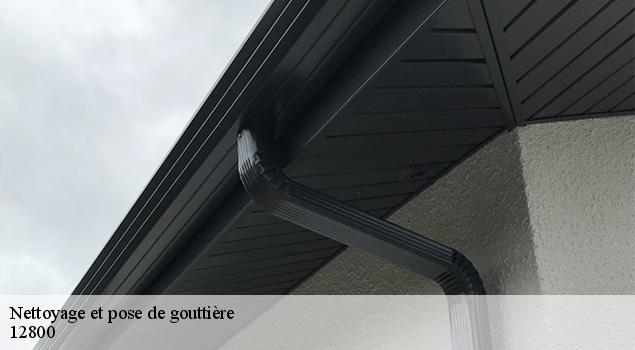 Nettoyage et pose de gouttière  la-mothe-12800 ACE Couverture 