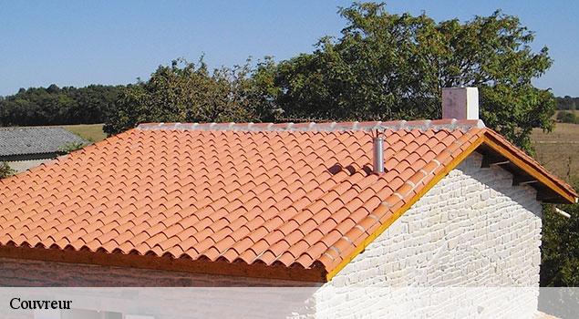 Couvreur  belmont-sur-rance-12370 John Toiture Couvreur 12