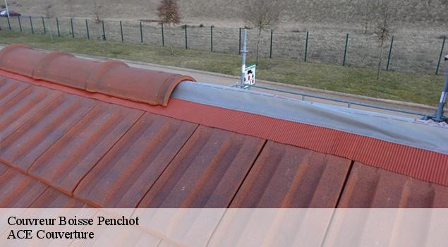 Couvreur boisse-penchot-12300 ACE Couverture
