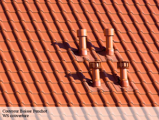 Couvreur  boisse-penchot-12300 WS couverture