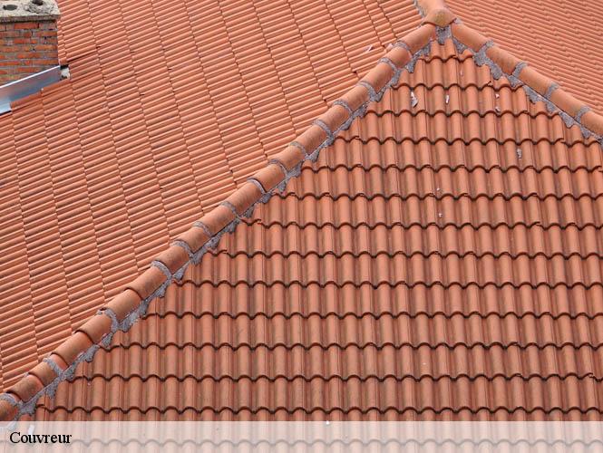 Couvreur  canet-de-salars-12290 WS couverture