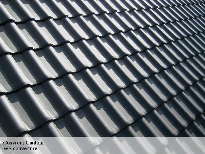 Couvreur  cantoin-12420 WS couverture