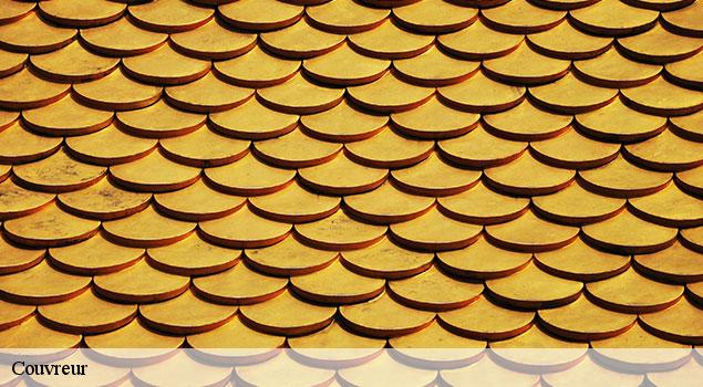 Couvreur  estaing-12190 John Toiture Couvreur 12