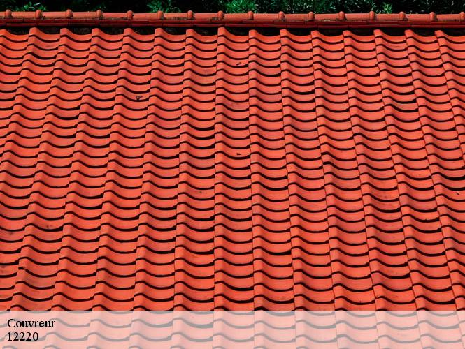 Couvreur  galgan-12220 WS couverture