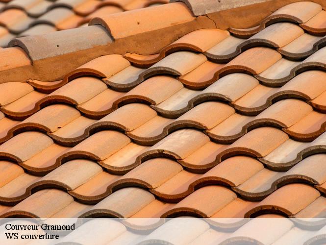 Couvreur  gramond-12160 WS couverture