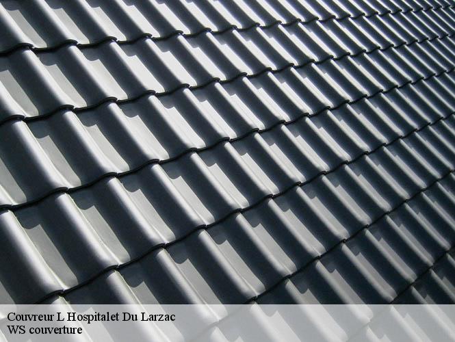 Couvreur  l-hospitalet-du-larzac-12230 WS couverture